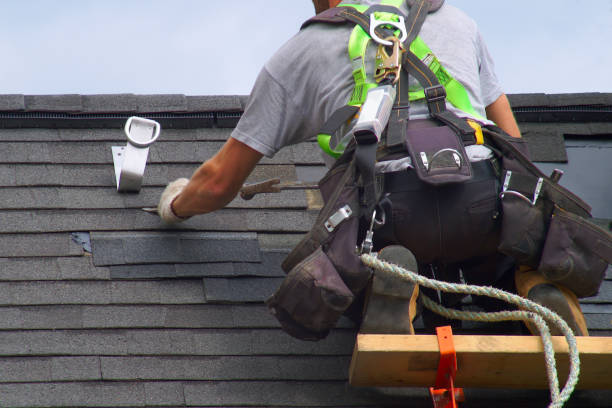 Best Shingle Roofing Installation  in The Hammocks, FL