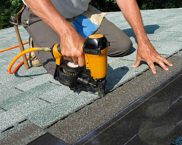 Best Roof Gutter Cleaning  in The Hammocks, FL