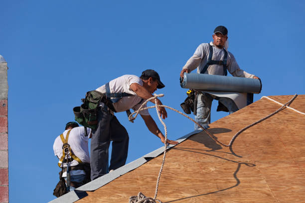 Best Residential Roofing Contractor  in The Hammocks, FL
