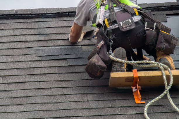 Best Storm Damage Roof Repair  in The Hammocks, FL