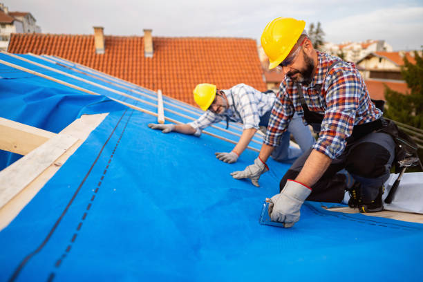 Best Flat Roof Repair Services  in The Hammocks, FL