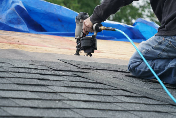 Best New Roof Installation  in The Hammocks, FL