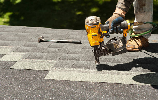 Roof Gutter Cleaning in The Hammocks, FL