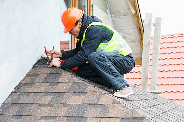 Best Residential Roofing Contractor  in The Hammocks, FL